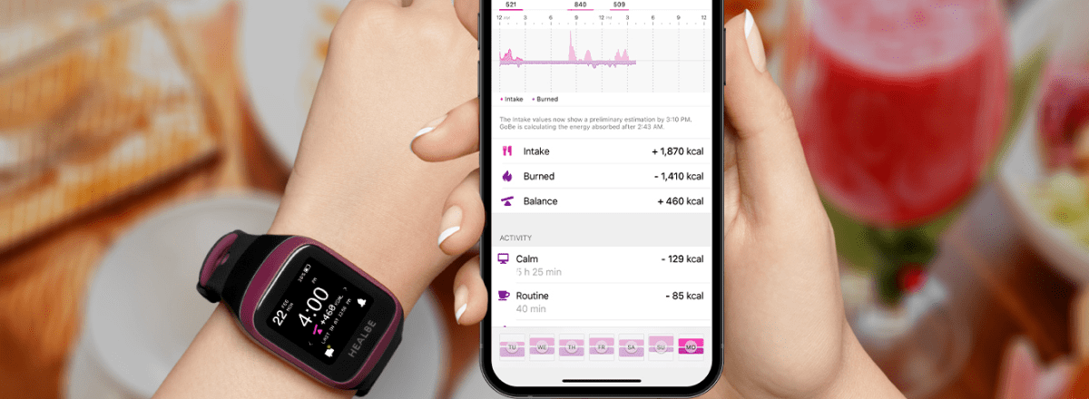 HEALBE App