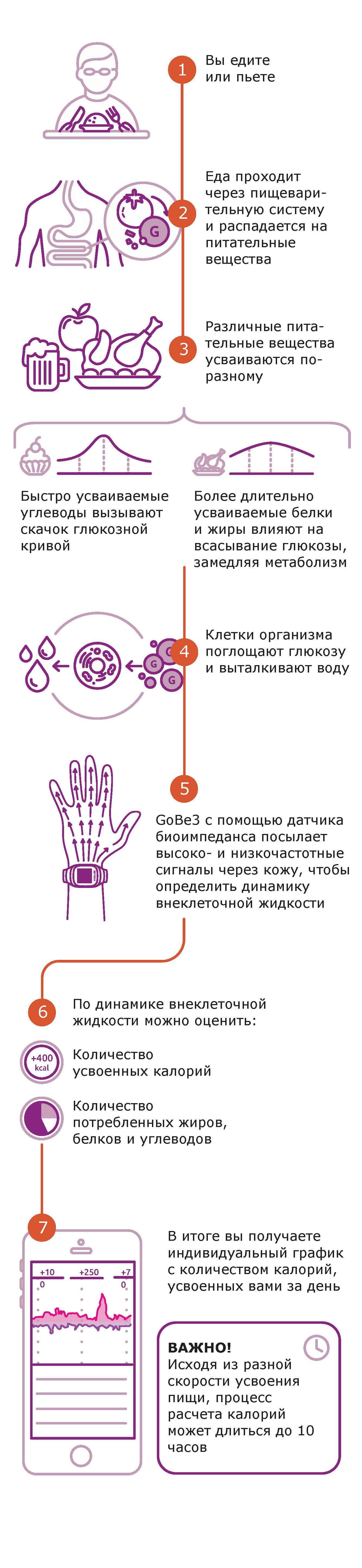 КАК GOBE3 ИЗМЕРЯЕТ КОЛИЧЕСТВО ПОСТУПИВШИХ С ПИЩЕЙ КАЛОРИЙ?
