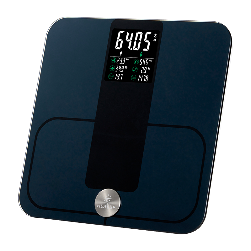 HEALBE Scale